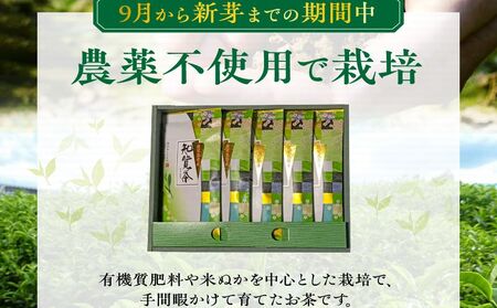 002-26-1 【お歳暮に】知覧特上深蒸し茶５本セット
