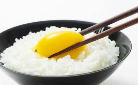 <定期便>【Lサイズ 40個×6ヶ月コース】40個(36個+割れ補償4個) 安心・安全な『下川六〇酵素卵』を毎日の食卓に! 下川ろくまる あべ養鶏場 割れ補償付き ブランド卵 たまご 玉子 タマゴ ふ