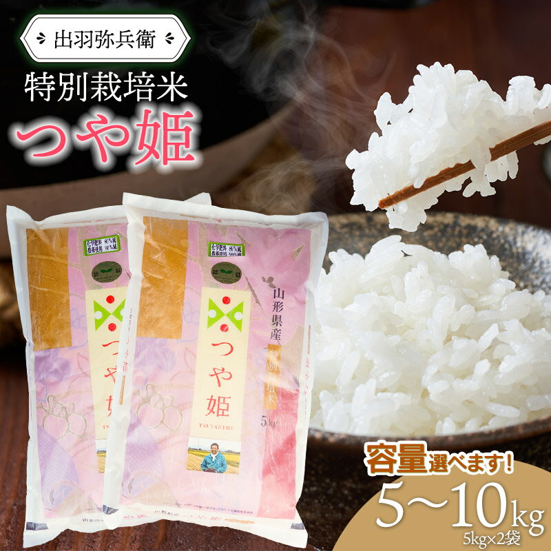 【ふるさと納税】数量限定【令和6年産】特別栽培米つや姫 精米（白米）【選べる容量 5kg・10kg】　山形県鶴岡市産　出羽弥兵衛