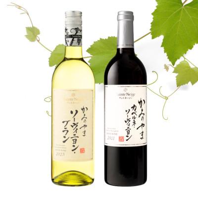 ふるさと納税 山梨市 サントネージュワインが贈るカベルネ・ソーヴィニヨン/ソーヴィニヨン・ブラン赤白2本セット