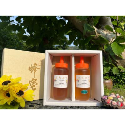 ふるさと納税 川棚町 国産はちみつ(百花蜜500g+みかん蜜500g)