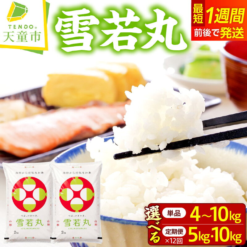 【ふるさと納税】＼スピード発送／ 雪若丸 選べる 単品 or 定期便 令和8年産 新米 1回 4kg / 5kg / 10kg 12回定期便 毎月 5キロ / 10キロ 先行予約 米 小分け 便利 お米 精米 ごはん 白米 お試し 高評価 人気 おすすめ 大容量 お取り寄せ 産地直送 送料無料 山形県 天童市
