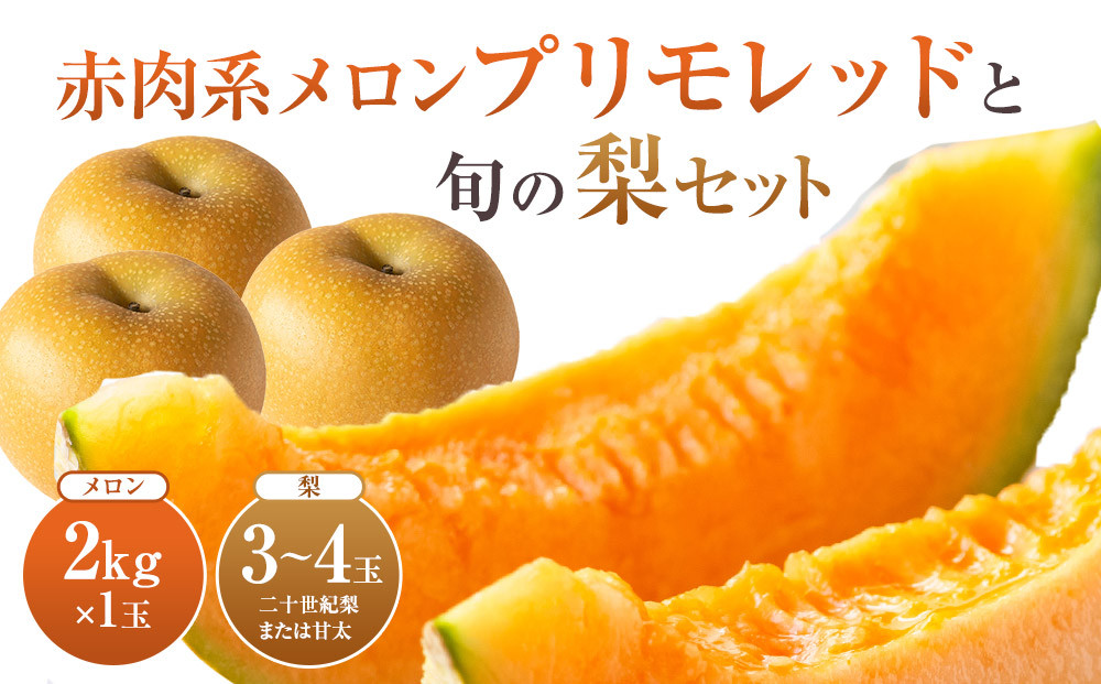 【先行予約】赤肉系メロン プリモレッド メロン と旬の梨セット※離島への配送不可（北海道、沖縄本島は配送可能）