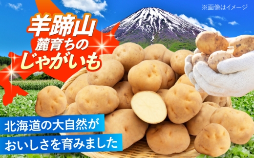 じゃがいも 男爵芋 10kg | じゃがいも ジャガイモ 男爵芋 野菜 季節の野菜 北海道 産地直送 先行予約 | 株式会社Aコープようてい [BPAT002]