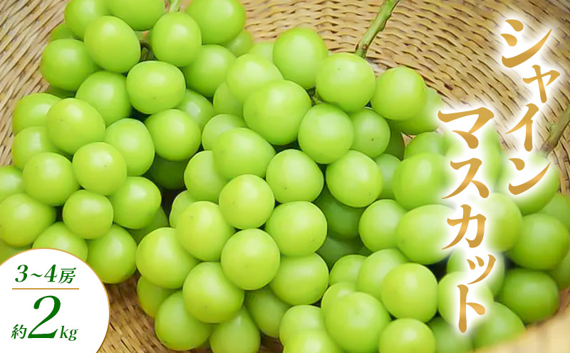 シャインマスカット 2～4房 約2kg ぶどう ブドウ 葡萄 マスカット 果物 フルーツ 長野県 長野 山ノ内町