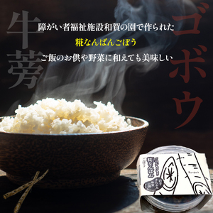 【思いやり返礼品(支援型)】和賀の園 糀なんばん ごぼう 130g 3個入り 福祉 福祉施設 応援 ごはんのお供 ごはん おかず ハートフルショップまごころ 岩手県北上市 B0421