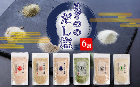 はぎのだし塩 6選160ｇ×6パック塩【HGN001_x】