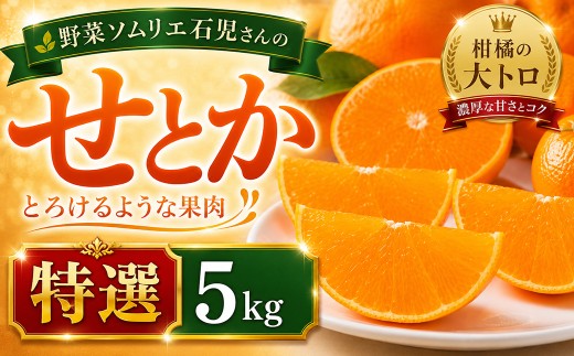 【2027年先行予約】野菜ソムリエ石児さんの「特選 せとか 5kg（2.5kg×2箱）」／ せとか みかん セトカ ミカン 蜜柑 柑橘 特選 5kg 柑橘類 5キロフルーツ 先行予約 2月 3月 2月発送 3月発送 ＜103-016＞