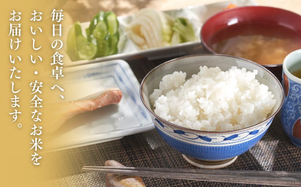 【２週間以内発送・数量限定】令和6年産 コシヒカリ 特別栽培米 「出雲崎の輝き」 5㎏ 新潟県産 出雲崎町産 ブランド米 白米 精米 お米
