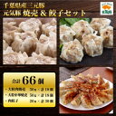 【ふるさと納税】元気豚　焼売&餃子セット(合計66個)【配送不可地域：離島・沖縄県】【1459598】