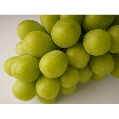 【ふるさと納税】【出荷量増大記念・感謝企画】シャインマスカット　約800g以上(1～2房)【配送不可地域：離島・北海道・沖縄県】【1694730】