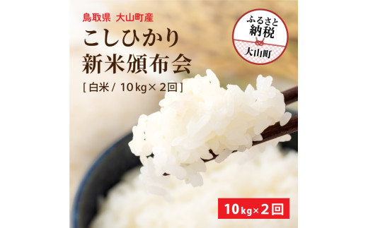MR-19  減農薬・減化学肥料 特別栽培米こしひかり 新米頒布会（白米10kg×2回）