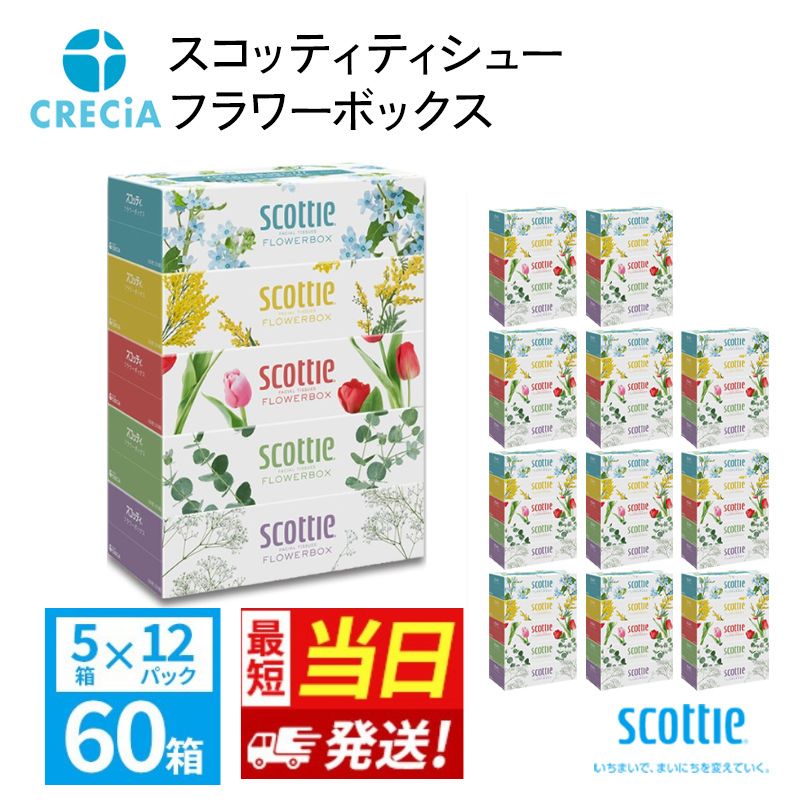 【ふるさと納税】【最短当日発送！】ティッシュ スコッティ フラワーボックス 60箱 (5箱×12パック) ティッシュペーパー ティシュー ティシューペーパーボックスティッシュ ボックスティシュー ティシュペーパー 防災 災害 日用品 消耗品 生活用品 宮城県 岩沼市