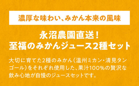 永沼農園のみかんジュース2種セット(温州ミカン・清見タンゴール 各720ml×3本)　愛媛県大洲市/永沼農園 みかんジュース ミカンジュース フルーツジュース ストレート[AGAW015]