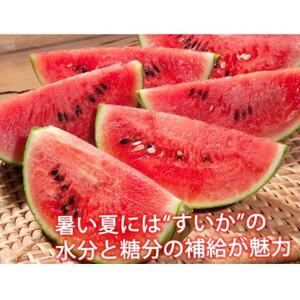 大玉すいか 秀品 1玉(約6kg～9kg)【2025年5月下旬より順次発送予定】【1586101】