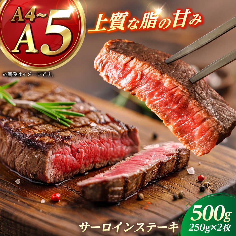 【ふるさと納税】【お歳暮対象】長崎和牛 サーロイン ステーキ 250g×2 【KRAZY MEAT】 A5 A4 冷凍 和牛 肉 牛肉 BBQ[RCQ003]