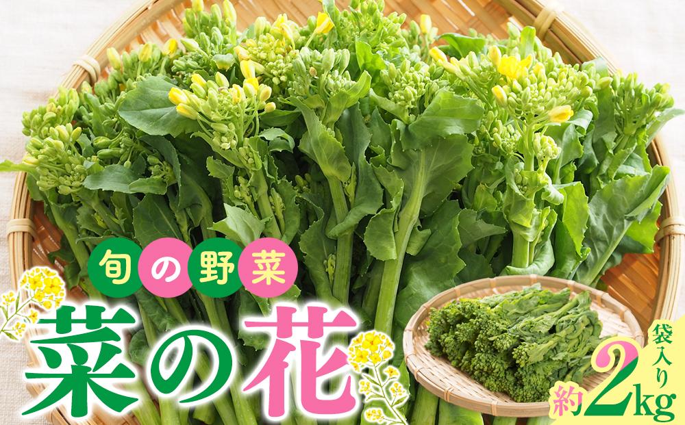 旬の野菜 菜の花 (袋入り) 約2kg【2026-12月上旬～2027-3月下旬配送】 372013_T006-278J