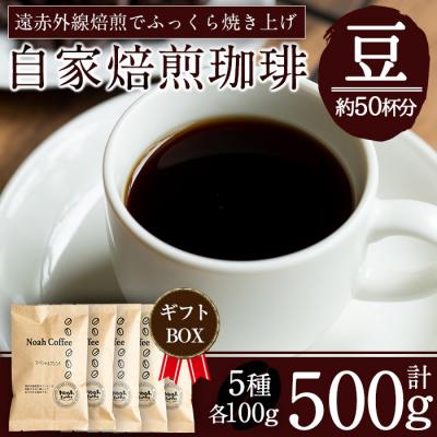 ふるさと納税 霧島市 <挽かずに豆の状態でお届け>珈琲豆100g×5種詰め合わせ【ノア・コーヒー】　A-165