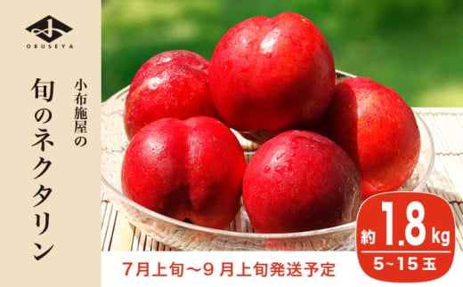 旬のネクタリン 約1.8kg 5～15玉 ［小布施屋］ 果物 フルーツ 桃 もも 長野県産 小布施 冷蔵便 クール便 産地直送 数量限定 送料無料 令和8年産 【2026年7月上旬～9月上旬発送】［H-102］