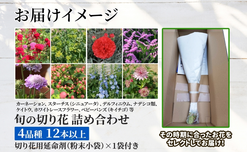 ＜2025年8月お届け＞ 北海道 花 詰め合わせ 4品種 12本以上 切り花 切花 花束 ブーケ 季節 旬 生花 フラワー アレンジメント 記念日 産地直送 つきがたふるさと花の会
