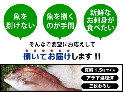（冷蔵） 真鯛 捌いてお届け （ 三枚おろし 皮付 ）／ マルカ水産 活〆 真空パック アラ お刺身 しゃぶしゃぶ お造り 煮物 お吸い物 縁起物 三重県 南伊勢町