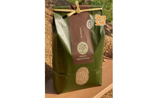 Kocomo’s きぬむすめ 玄米 5kg _S125