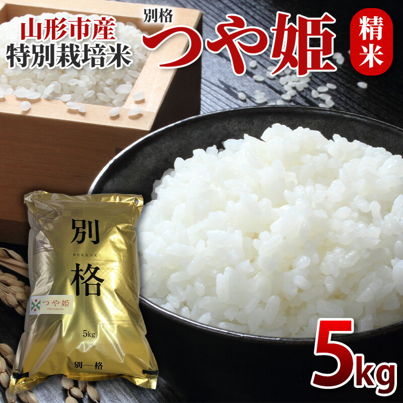 【ふるさと納税】特別栽培米 つや姫 精米5kg FY26-069