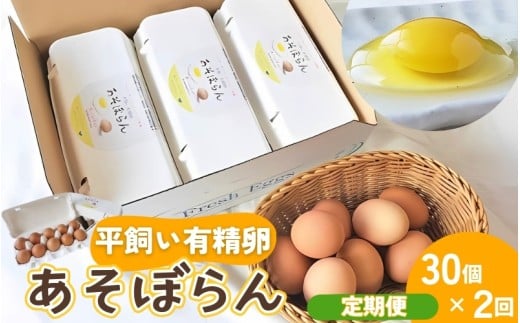 【定期便2回】卵 平飼い有精卵 あそぼらん 30個 2回/卵 たまご 玉子 タマゴ 卵焼き 玉子焼き 卵料理【asit-tkb0001】