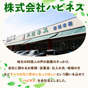 鹿児島県産 豚肉 切り落とし 鶏肉 セット (3.15kg)【ハピネス】A737