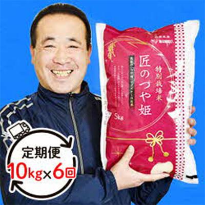 ふるさと納税 浜田市 【毎月定期便】特別栽培米「匠のつや姫」 10kg 全6回