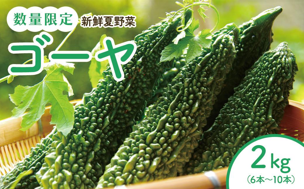 【2026年産】結いの街　新鮮夏野菜野菜！ゴーヤ 2kg |  国産 ゴーヤ 野菜 青果 ごうや 苦瓜 天ぷら 炒め物 ゴーヤチャンプル ゴウヤ 旬 期間限定 夏野菜 鹿児島県 大崎町