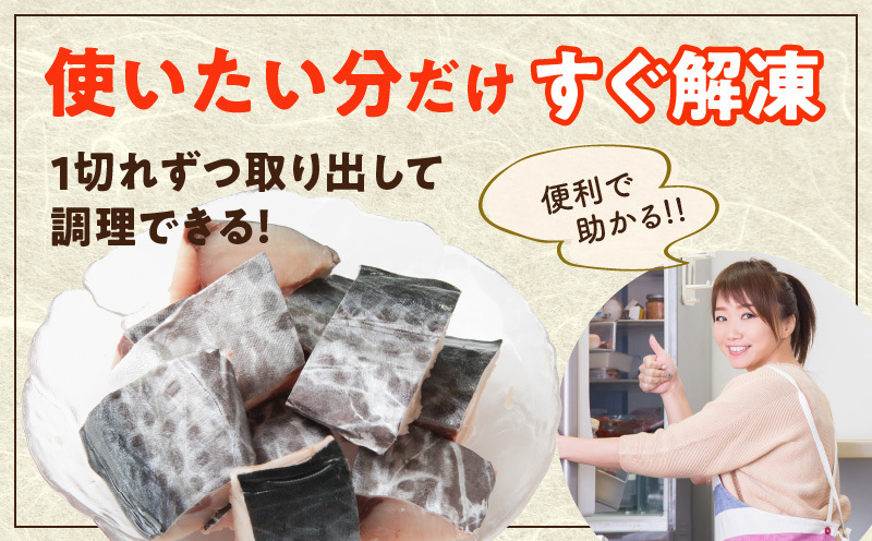 【定期便】さわら 切身 約50g×10切れ 全2回【2026年3月＆2026年6月発送 お弁当サイズ 小分け 漁師 手切り 500g 泉州 鰆 切り身 弁当 朝食 時短 訳あり サイズ不揃い 規格外 