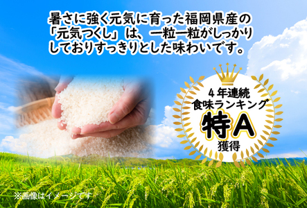 【定期便3ヶ月】元気つくしパックご飯 （4食入）8pk　Ｍ776T