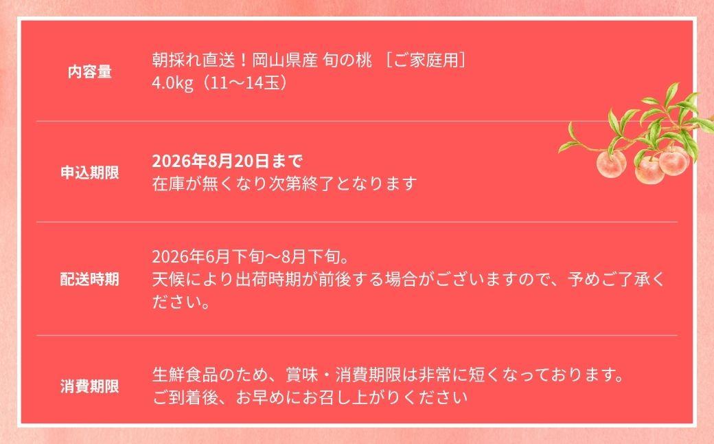 ＜数量限定＞［なんばふぁーむ］岡山県産 旬の桃 4.0kg（11～14玉）［ご家庭用］【2026年発送】 4.0kg（11～14玉）