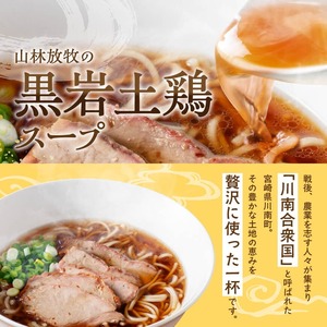 宮崎県川南町産食材使用　合衆国らーめん（黒岩土鶏スープ）2食 【 ラーメン 玄米麺 豚チャーシュー 】