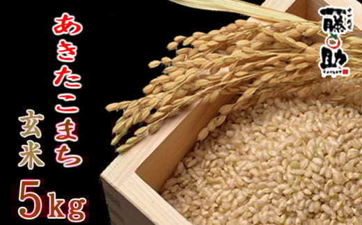 【2025年11月上旬より発送】 新米 岩手県産 あきたこまち 玄米 5kg ／ 米 産地直送 農家直送 【十一代目藤助】