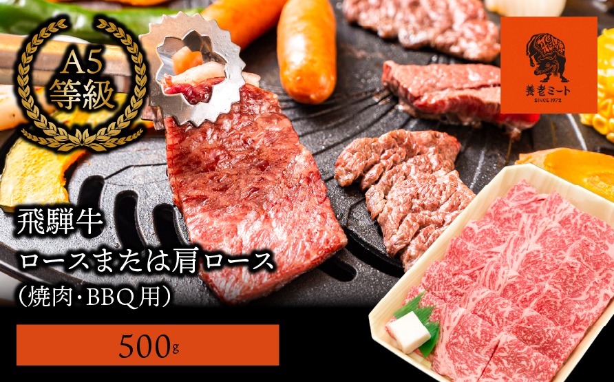 AJ-3-R7 【飛騨牛】ロースまたは肩ロース600g (焼肉・BBQ用)