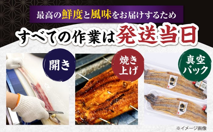 うなぎ 鰻 ウナギ 鰻蒲焼き うなぎ蒲焼き ひつまぶし うなぎ茶漬け おにぎり 国産 真空 冷凍 蒲焼 丑の日 個包装 小分け