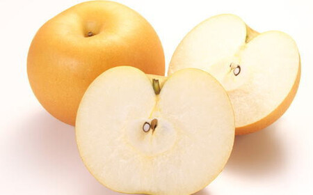 [数量限定] 和歌山県産の梨約2kg(品種おまかせ)【2026年度発送】【tec925C】