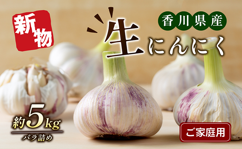 ご家庭用生にんにく 約5kg 野菜 野菜セット 乾燥にんにく ニンニク 約10kg 