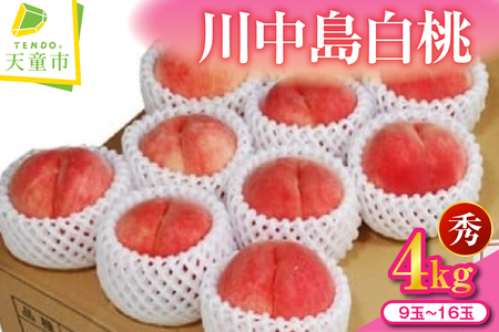 もも ( 川中島 白桃 ) 約 4kg フルーツ 果物 山形 08-02-003