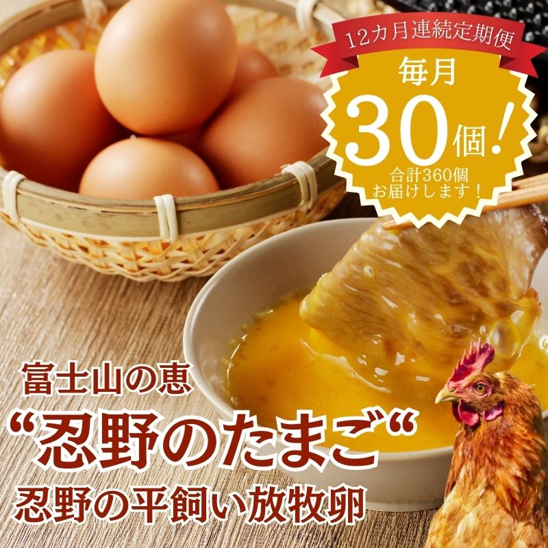 【ふるさと納税】忍野の平飼い放牧卵 12か月連続定期便（毎月30個×12か月）360個　|| 山梨県産 たまご 玉子 卵焼き 玉子焼き たまご焼き 生卵 鶏卵 たまごかけ 国産 定期便