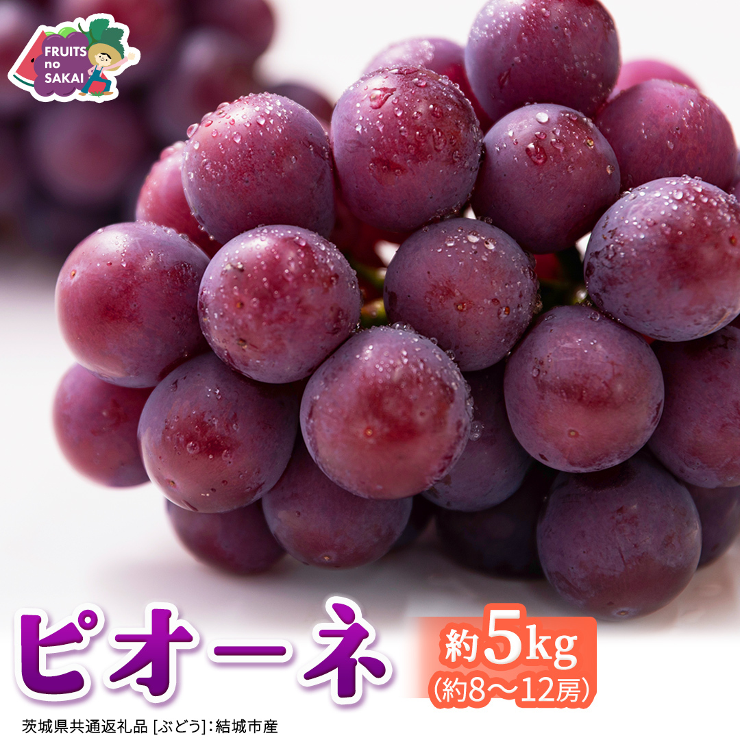 ピオーネ 約5kg （約8～12房）【2026年8月より発送開始】（茨城県共通返礼品 [ぶどう]：結城市産） ぶどう ブドウ 葡萄 ピオーネ高級 国産 黒ぶどう 旬 お取り寄せ フルーツ 希少品種 デ