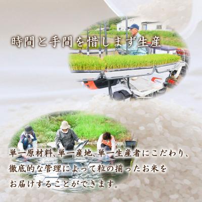 ふるさと納税 下関市 令和7年産 コシヒカリ 10kg (5kg×2箱) 山口県産 《内日三町:DZ8001》 |  | 01