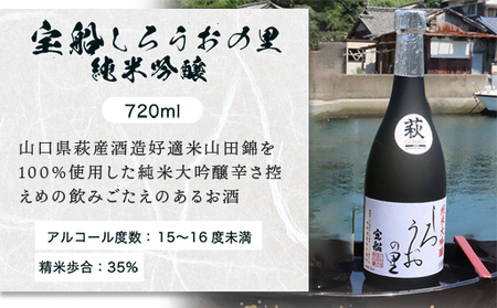 ☆GI萩取得☆ 宝船 『しろうおの里 純米大吟醸』『 大吟醸 』セット