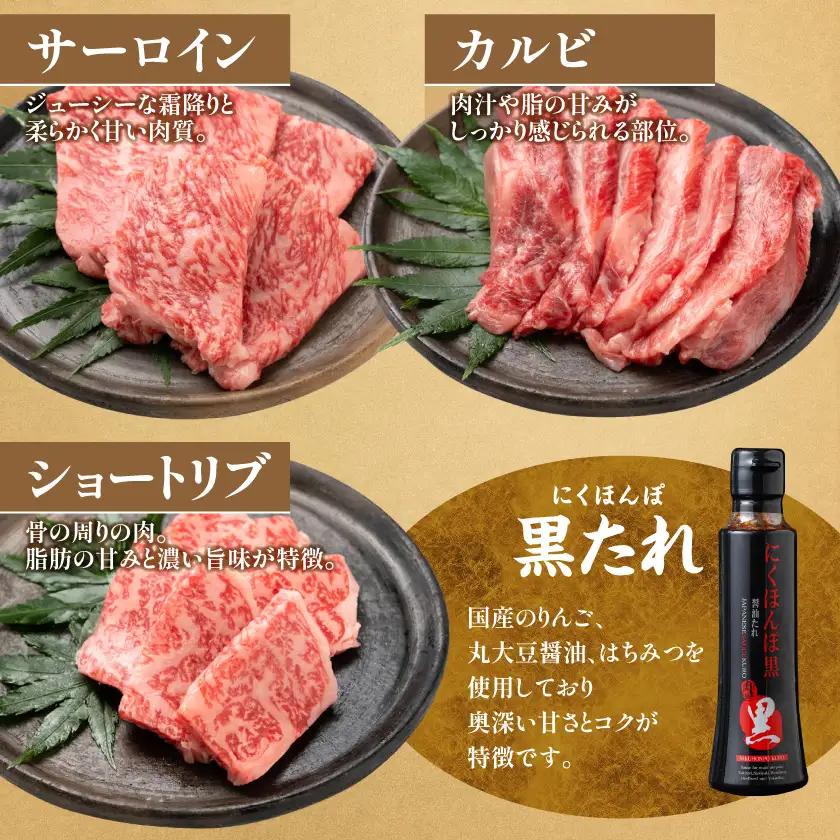 牛肉 【数量限定】 宮崎牛 9種盛 焼肉セット〔22-31-006-600g〕_(都城) 牛肉