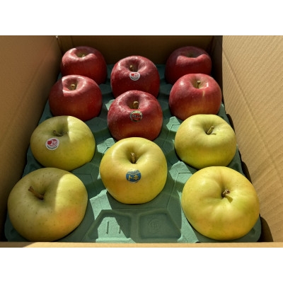 
                  早生ふじ&トキ　贈答用約5kg　りんご中生種、一押し詰合せ!　10月上旬より発送【1338678】
                