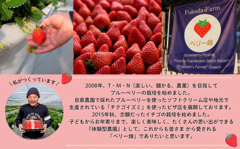 いちご 『先行予約』【2027年1月中旬以降お届け】 天使のいちご 白いちご 280g×2p 計2パック 560g フルーツ いちご 苺 イチゴ 果物 デザート 福岡県 小郡市 福田ファーム ※配送不可：沖縄、離島