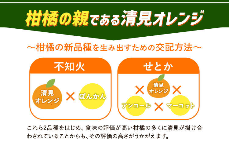＜先行予約＞とにかくジューシー 清見 オレンジ 約5kg  株式会社魚鶴商店《2027年3月下旬-4月下旬頃出荷》和歌山県 日高町 柑橘 果物 フルーツ