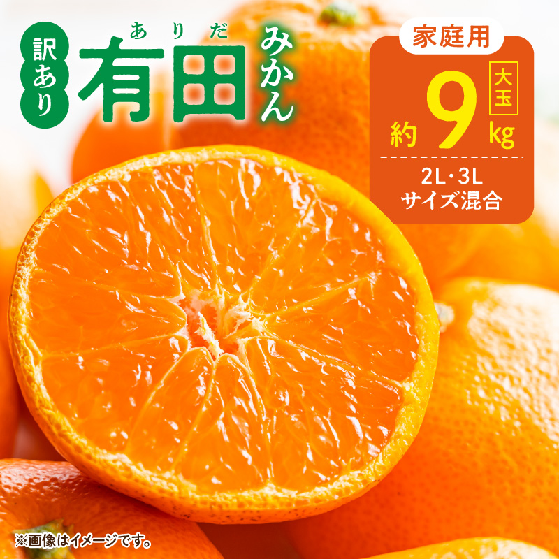 DZ6217_【2026年先行予約】ご家庭用 有田みかん 大玉(2L,3Lサイズ混合) 約9kg